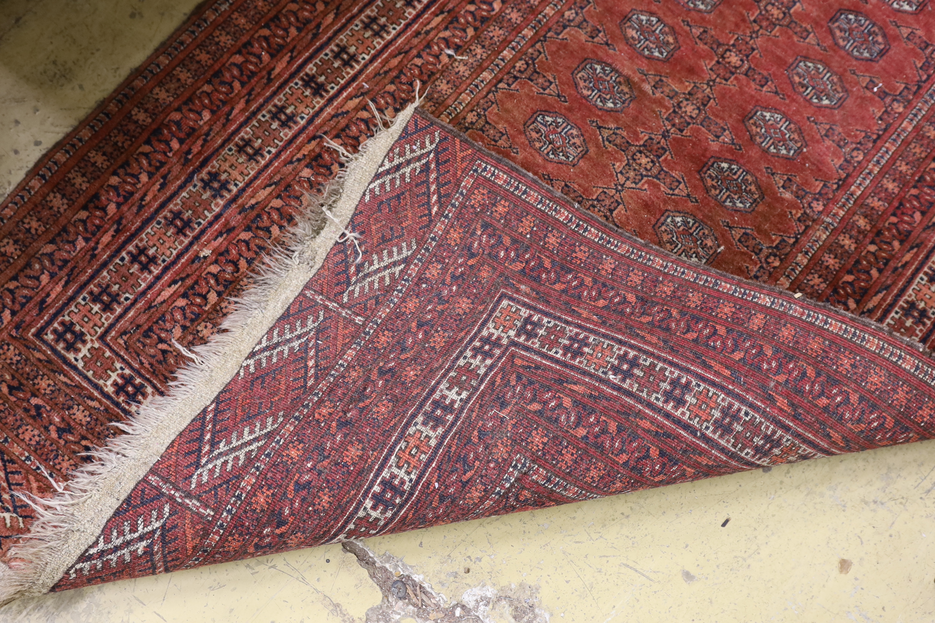 A Bokhara red ground rug, 158 x 124cm